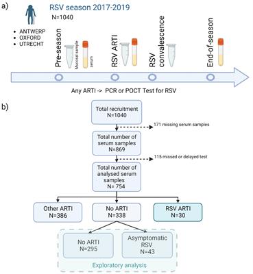 Serum and mucosal antibody-mediated protection and identification of asymptomatic respiratory syncytial virus infection in community-dwelling older adults in Europe